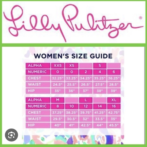 NWT Lilly Pulitzer Nicolina Dress - Picture 7 of 7